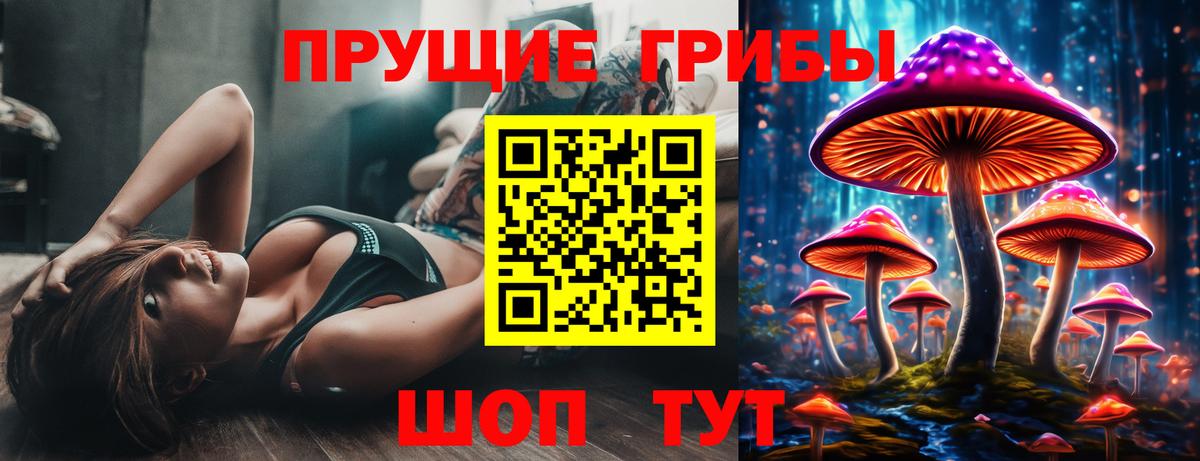 Галлюциногенные грибы Psilocybe Великий Устюг